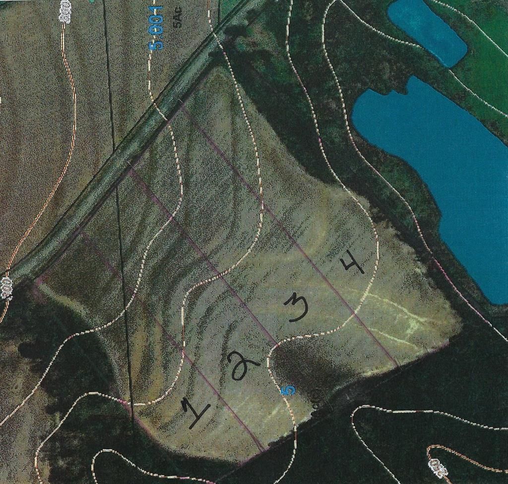 Wicksburg, Houston County, AL Undeveloped Land, Lakefront Property