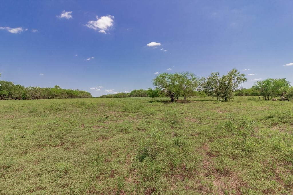 Cuero, Dewitt County, TX Farms and Ranches, Hunting Property