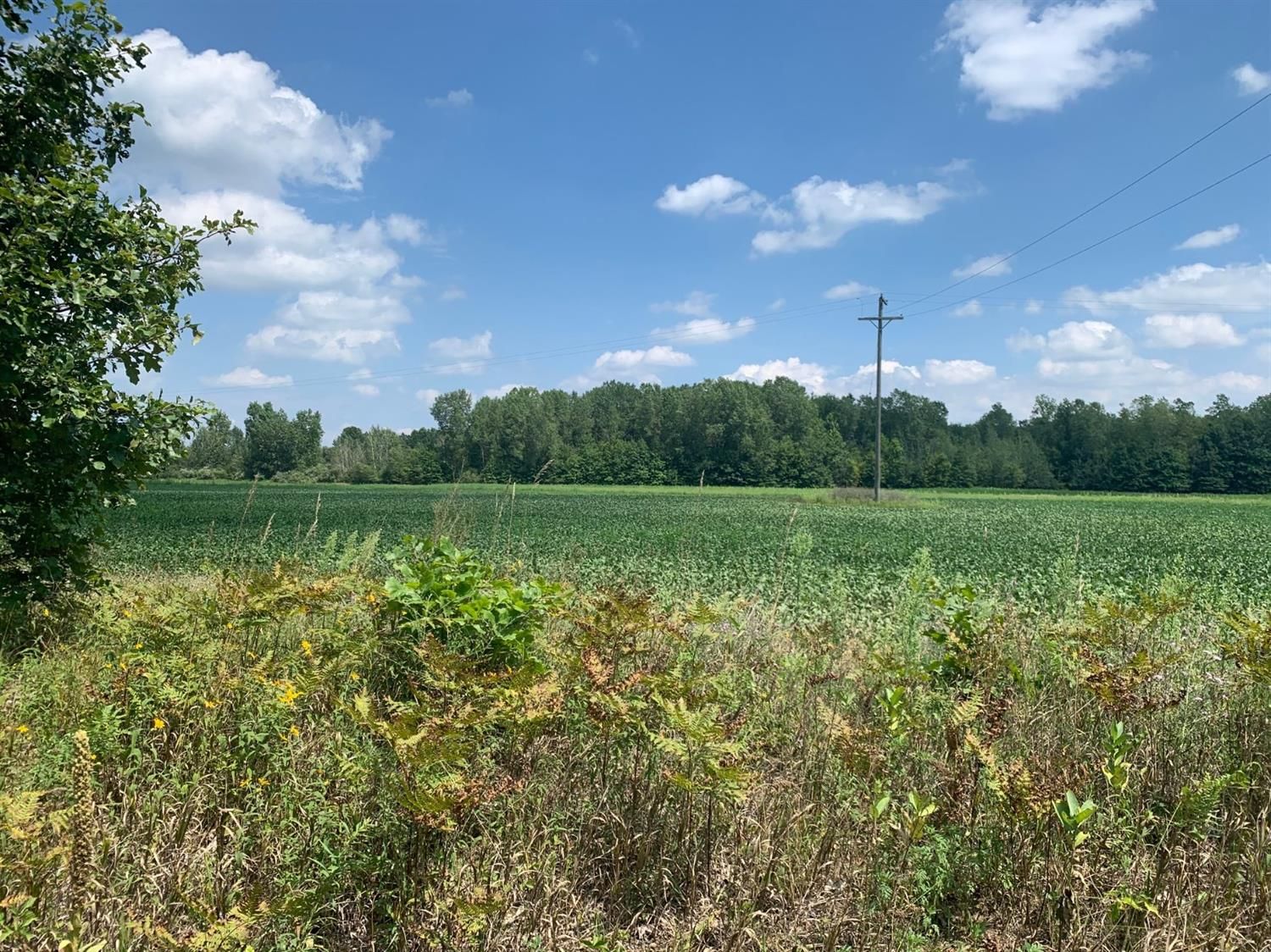 Maybee, Monroe County, MI Undeveloped Land for sale Property ID