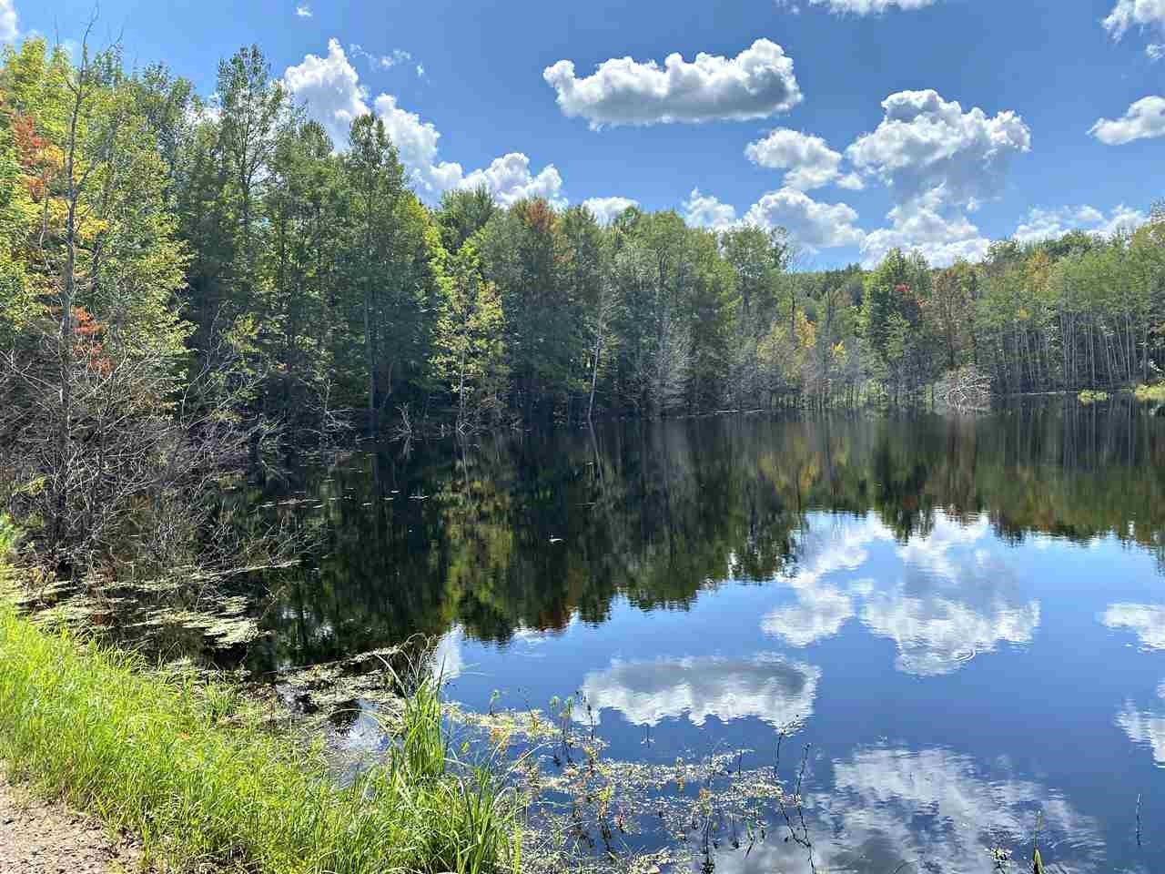 Athelstane, County, WI Undeveloped Land for sale Property ID
