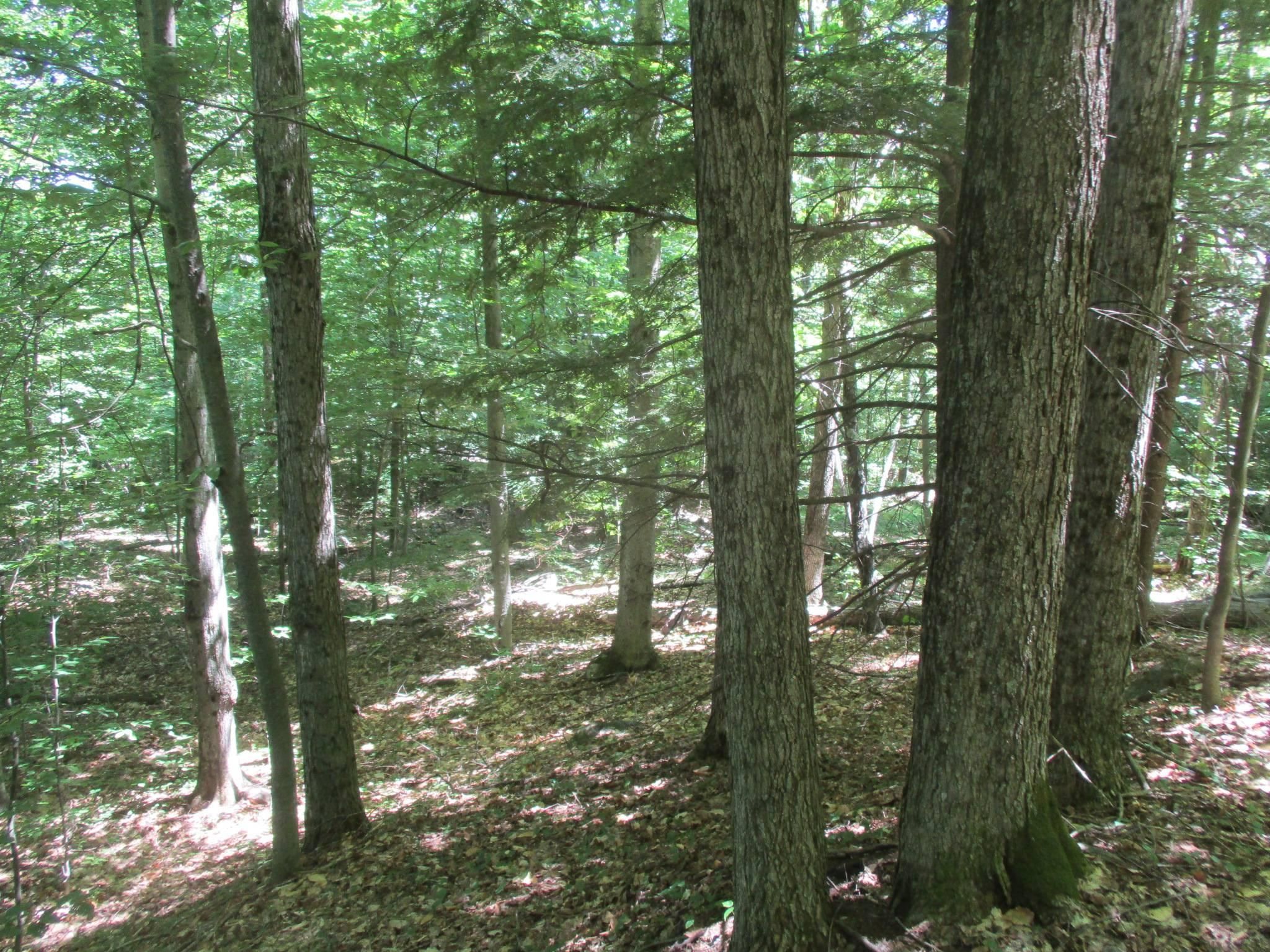 Stony Creek, Warren County, NY Recreational Property, Hunting Property