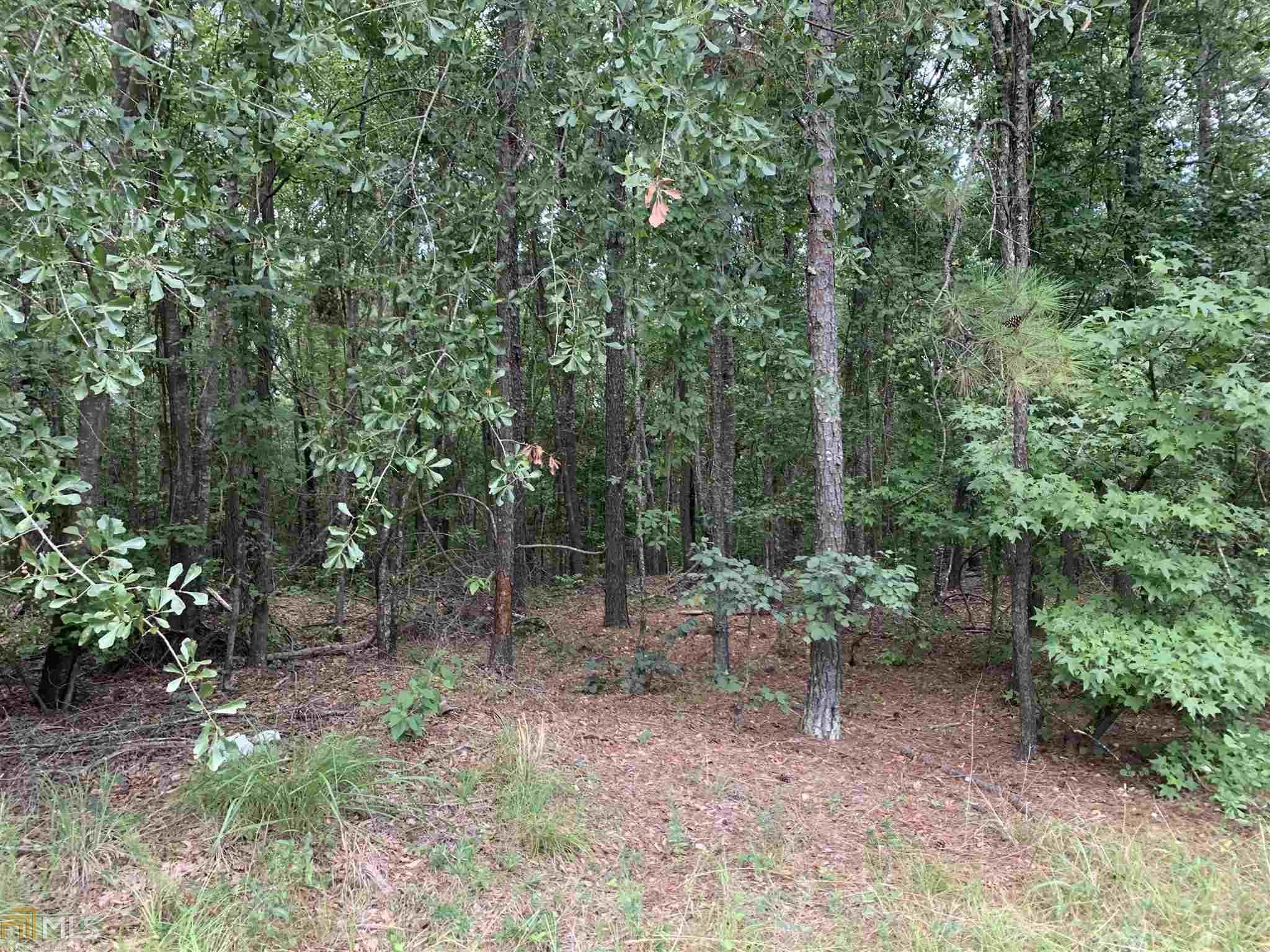 Macon, Jones County, GA Undeveloped Land for sale Property ID