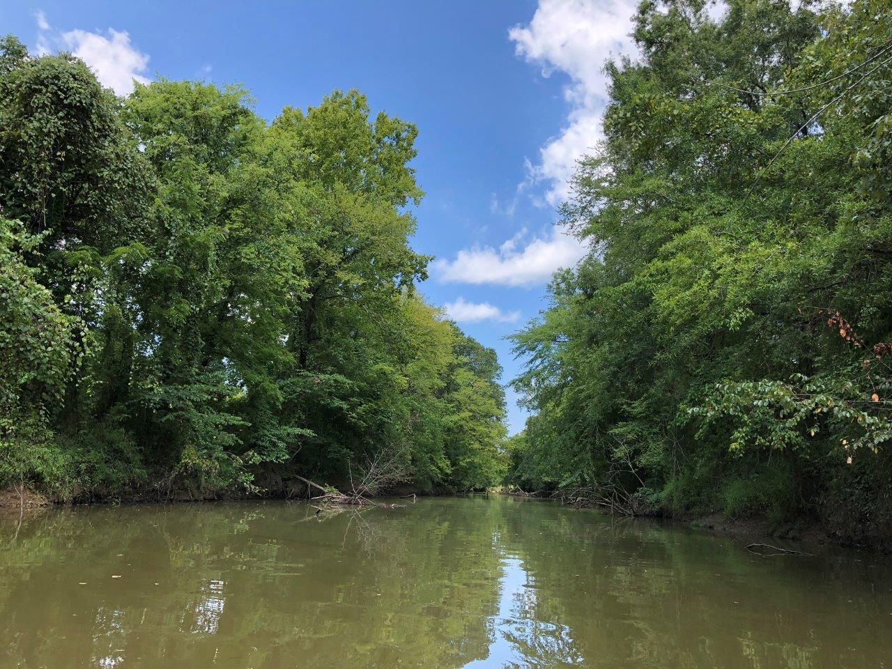 Gurdon, Clark County, AR Recreational Property, Timberland Property