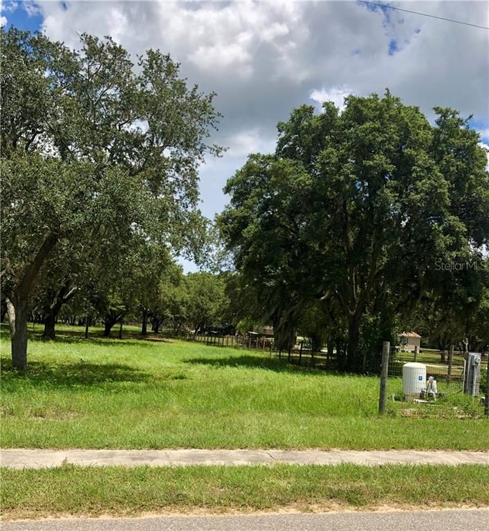 Astatula, Lake County, FL Undeveloped Land, Homesites for sale Property