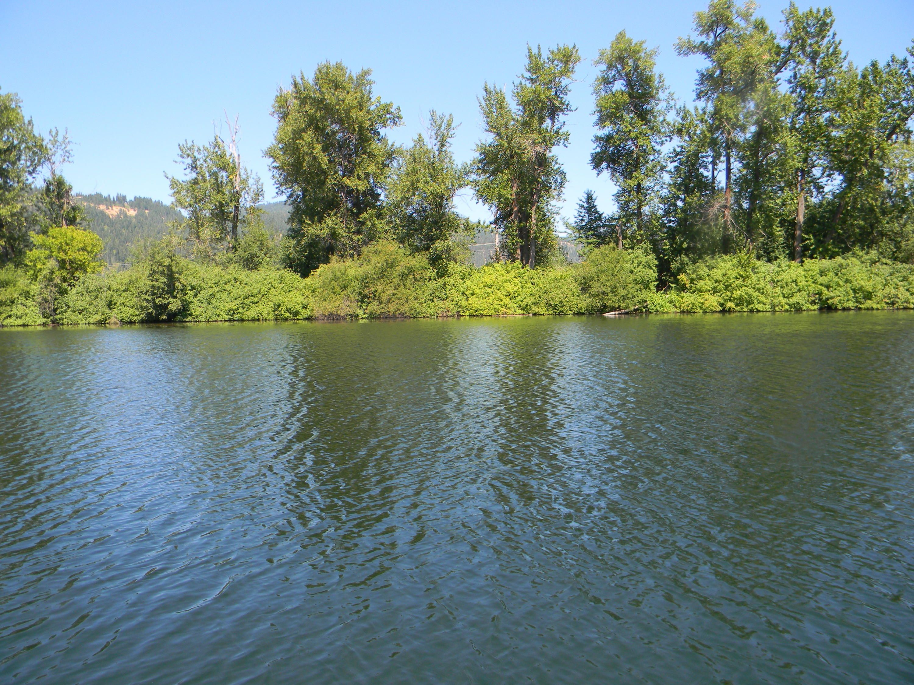 Saint Maries, Benewah County, ID Undeveloped Land, Lakefront Property