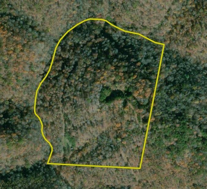 Harrisville, Ritchie County, WV Recreational Property, Timberland