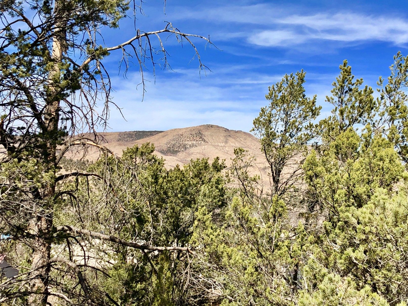 Ruidoso Downs, Lincoln County, NM Undeveloped Land, Homesites for sale