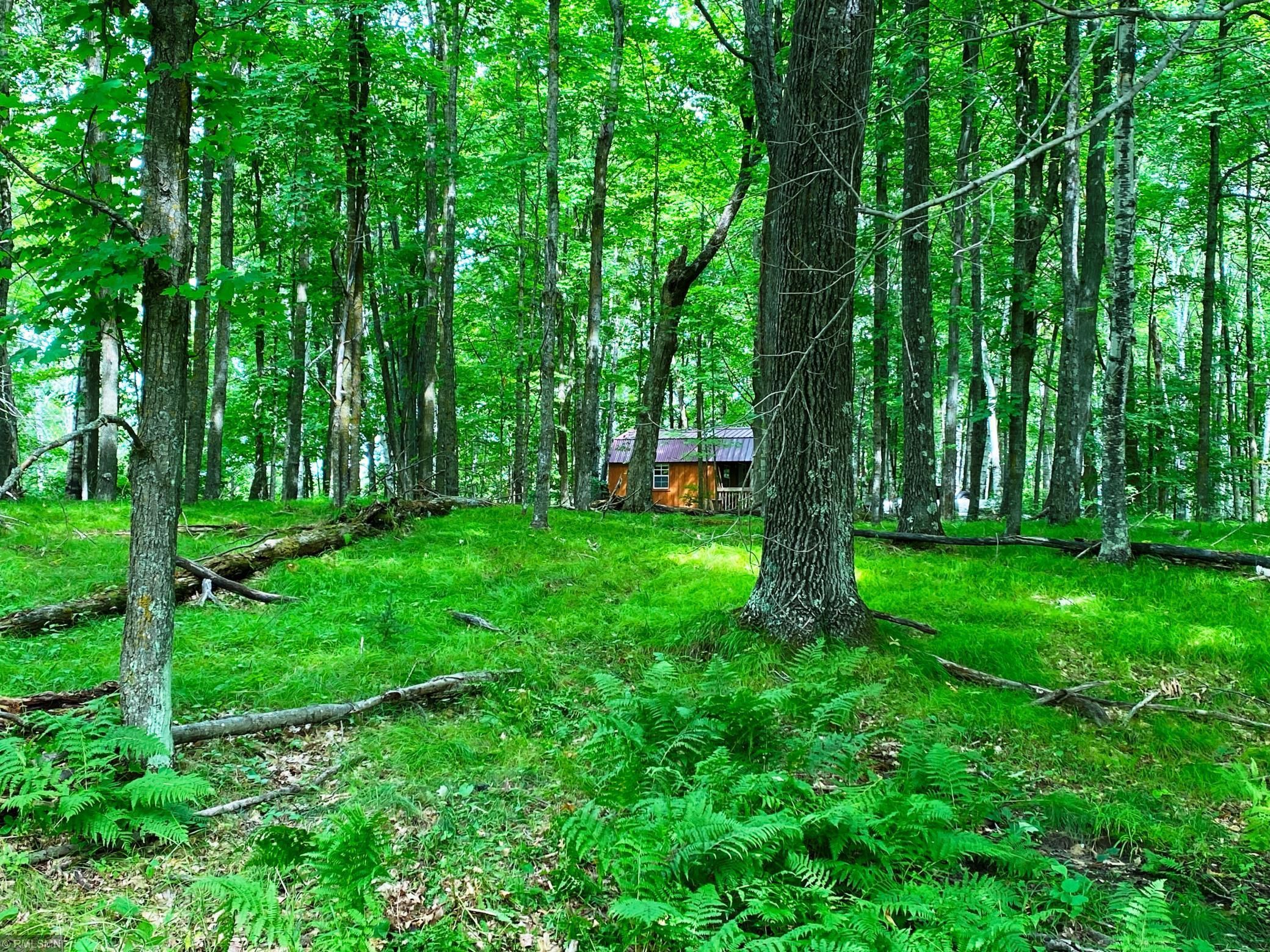 Barnum, Carlton County, MN Undeveloped Land for sale Property ID