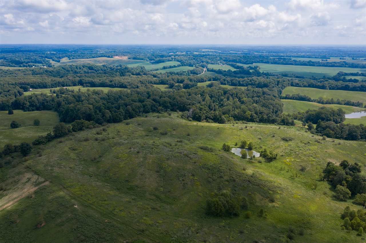 Obion, Obion County, TN Farms and Ranches for sale Property ID