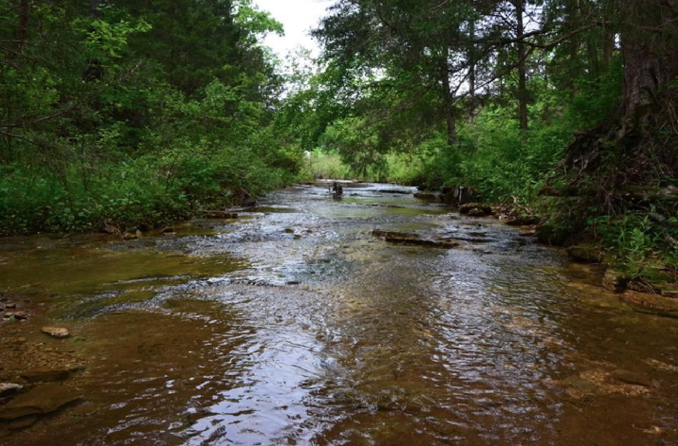 Bloomsdale, Sainte Genevieve County, MO Recreational Property, Hunting