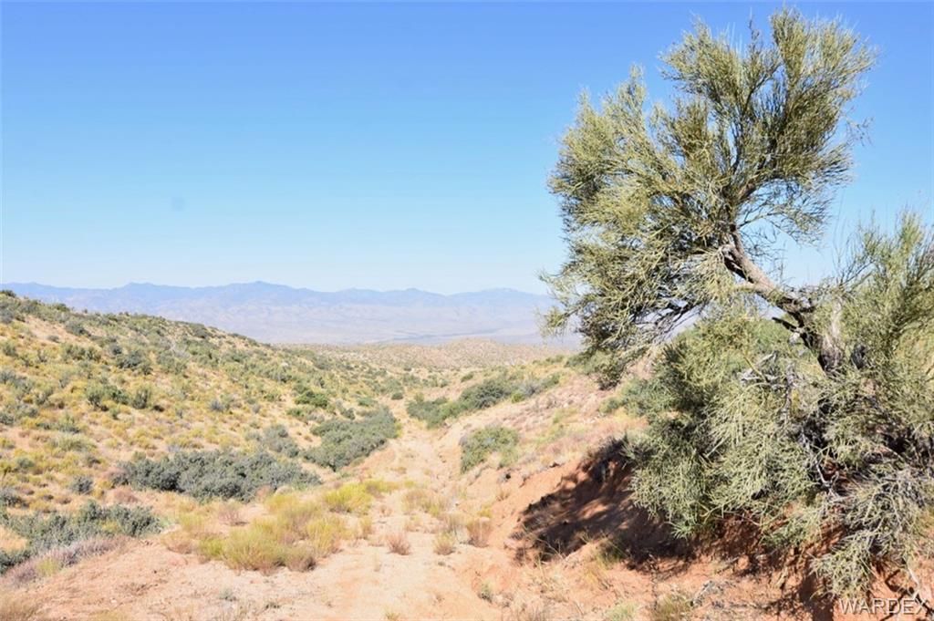 Wikieup, Mohave County, AZ Undeveloped Land for sale Property ID
