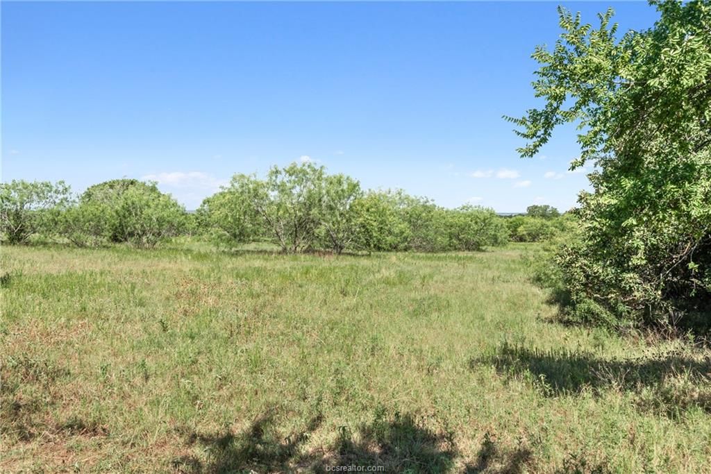 Bryan, Brazos County, TX Undeveloped Land for sale Property ID ...