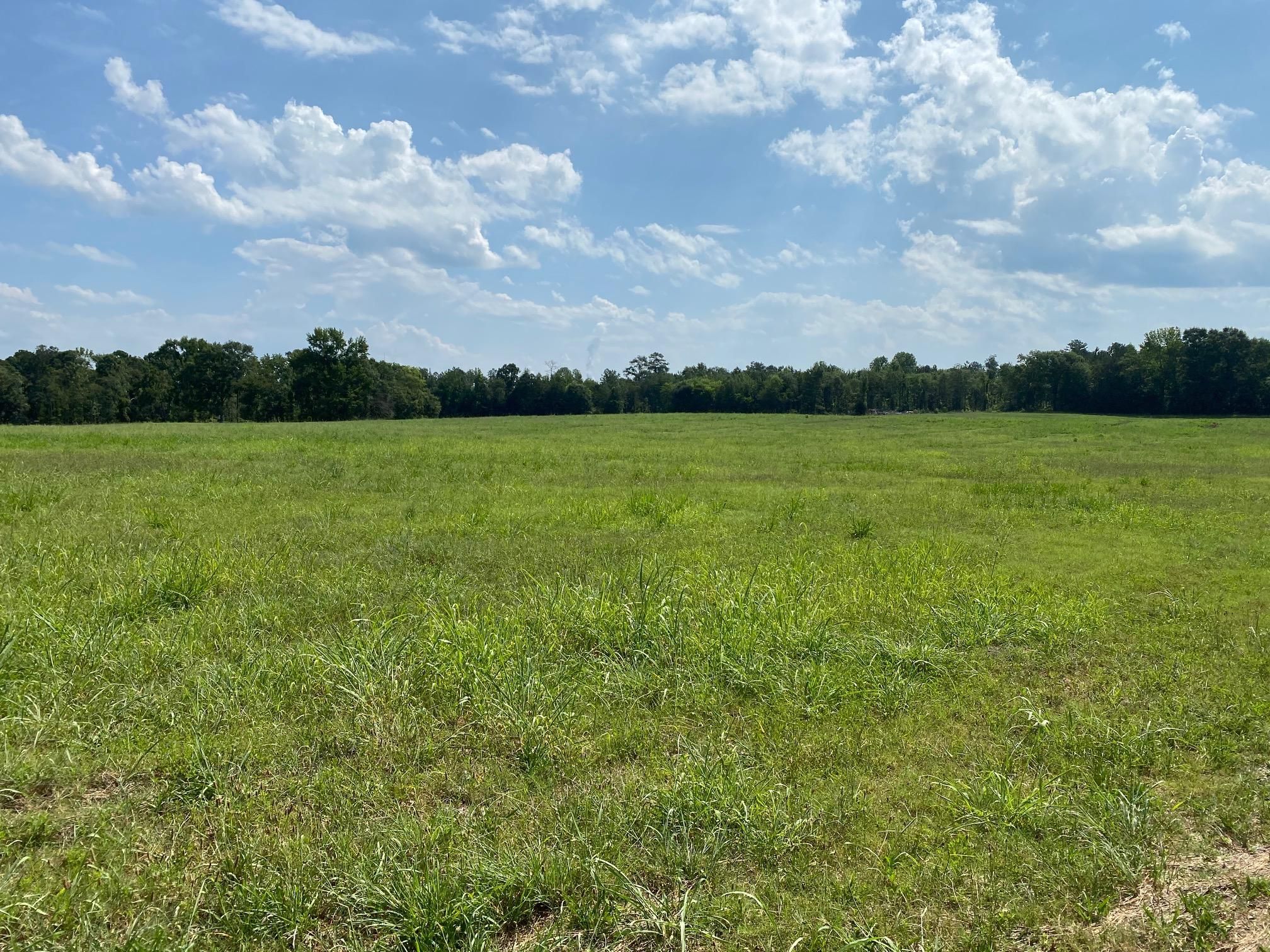 Forsyth, Monroe County, GA Farms and Ranches, Hunting Property, Horse