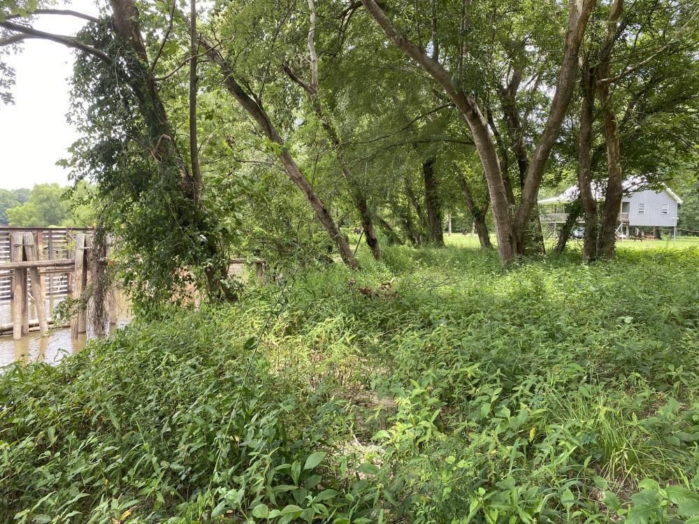 Poplarville, Pearl River County, MS Recreational Property, Hunting