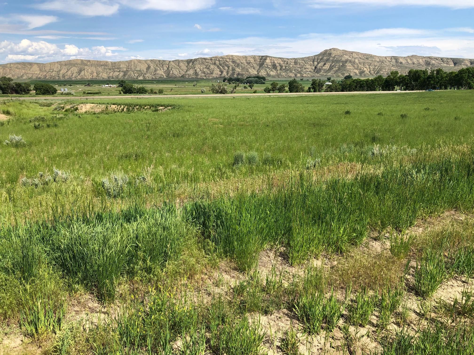 Belfry, Carbon County, MT Recreational Property, Undeveloped Land for