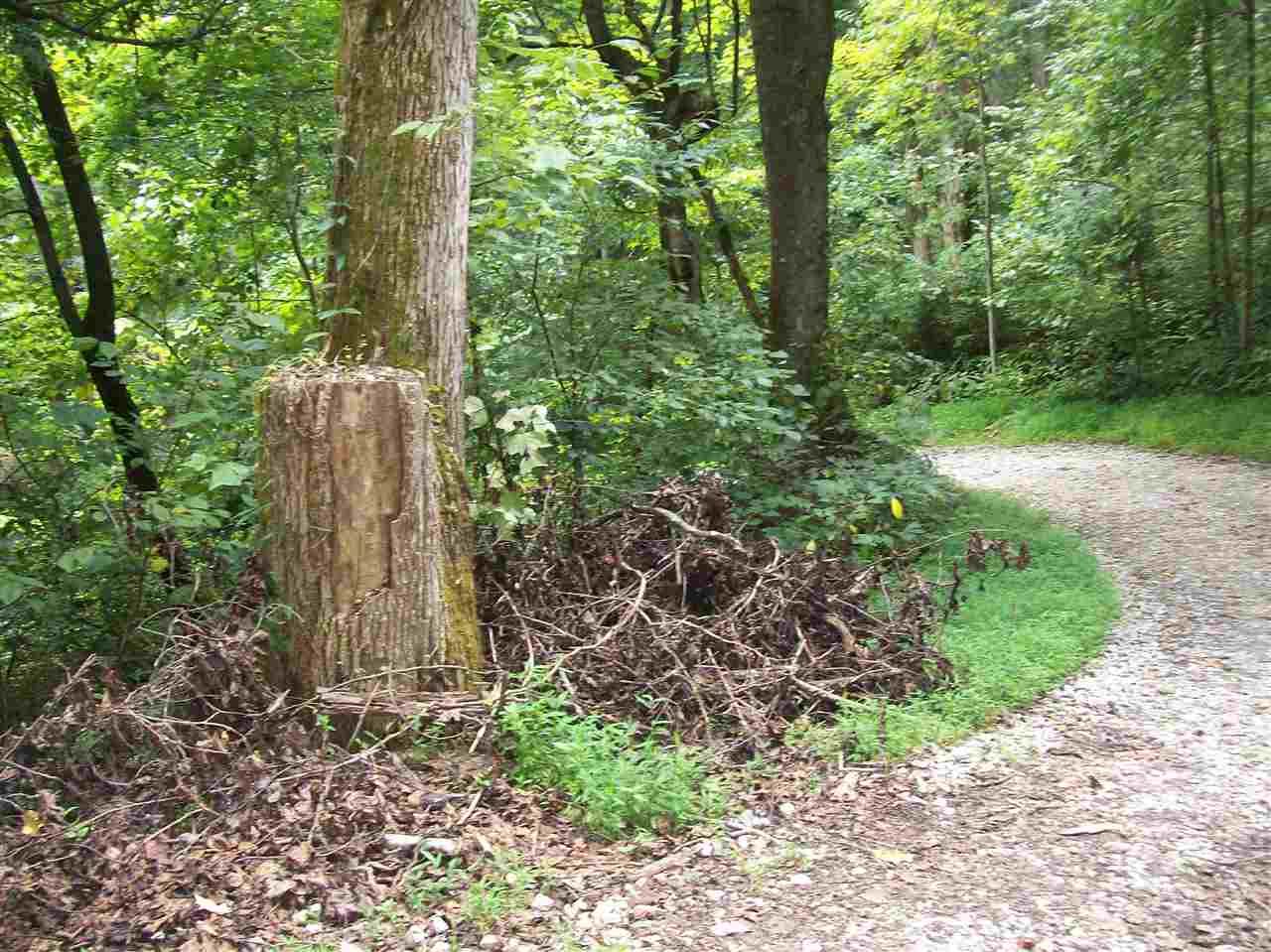 Sneedville, Hancock County, TN Farms and Ranches for sale Property ID