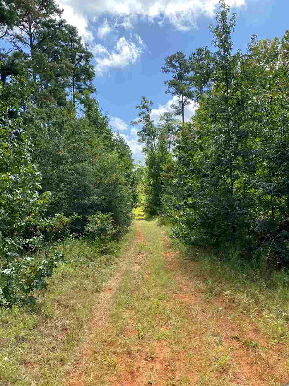 San Augustine, San Augustine County, TX Undeveloped Land for sale