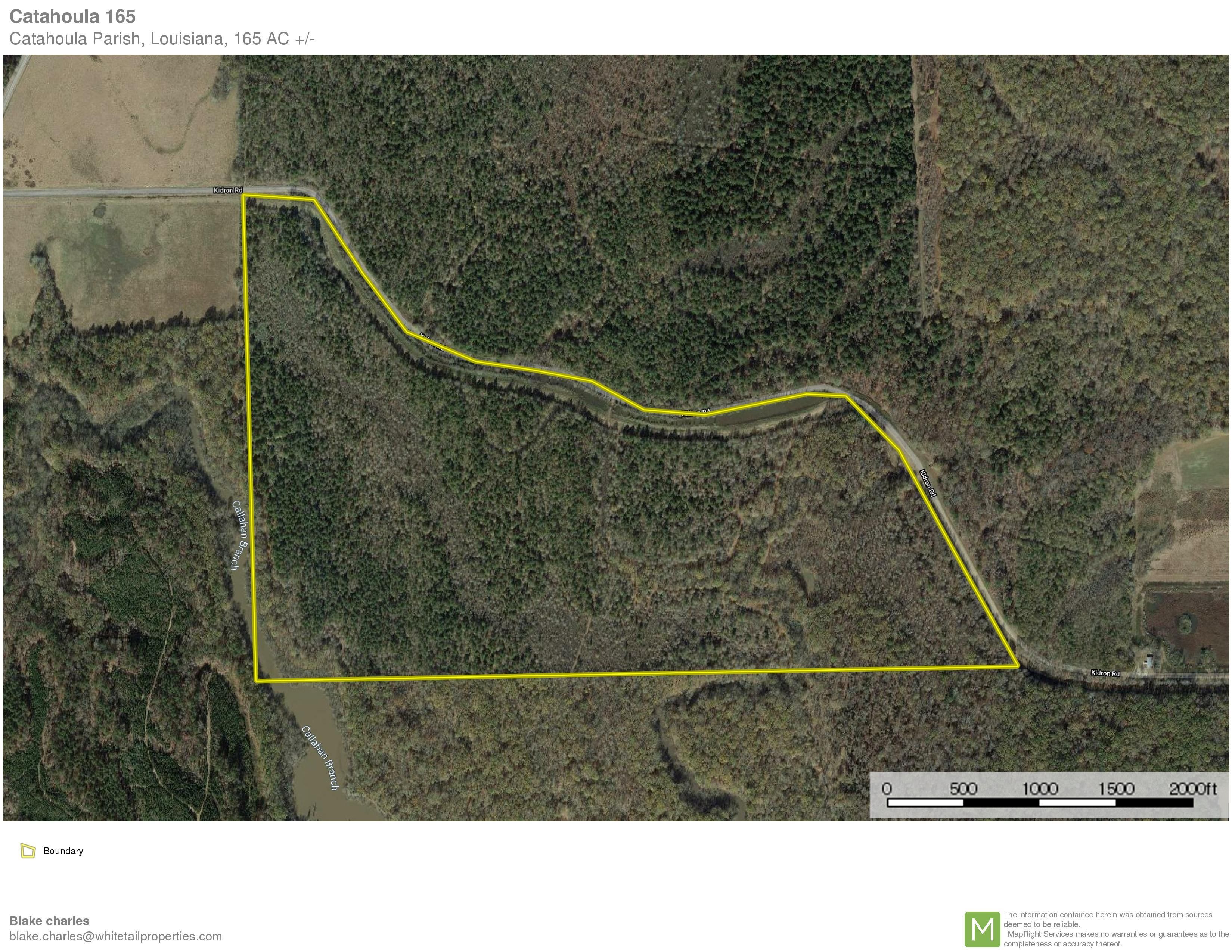 Harrisonburg, Catahoula Parish, LA Recreational Property, Timberland