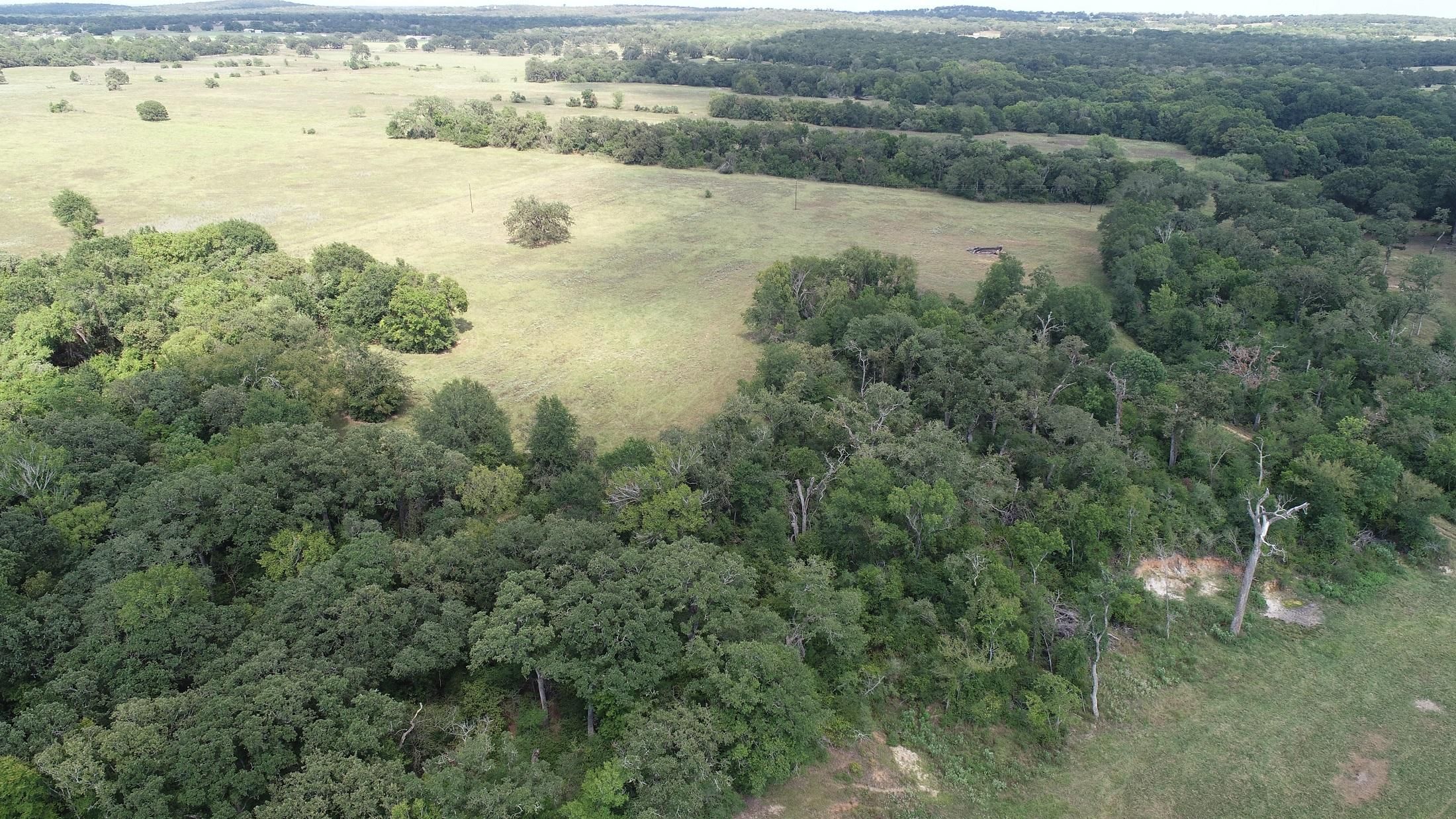 Cameron, Milam County, TX Recreational Property, Undeveloped Land