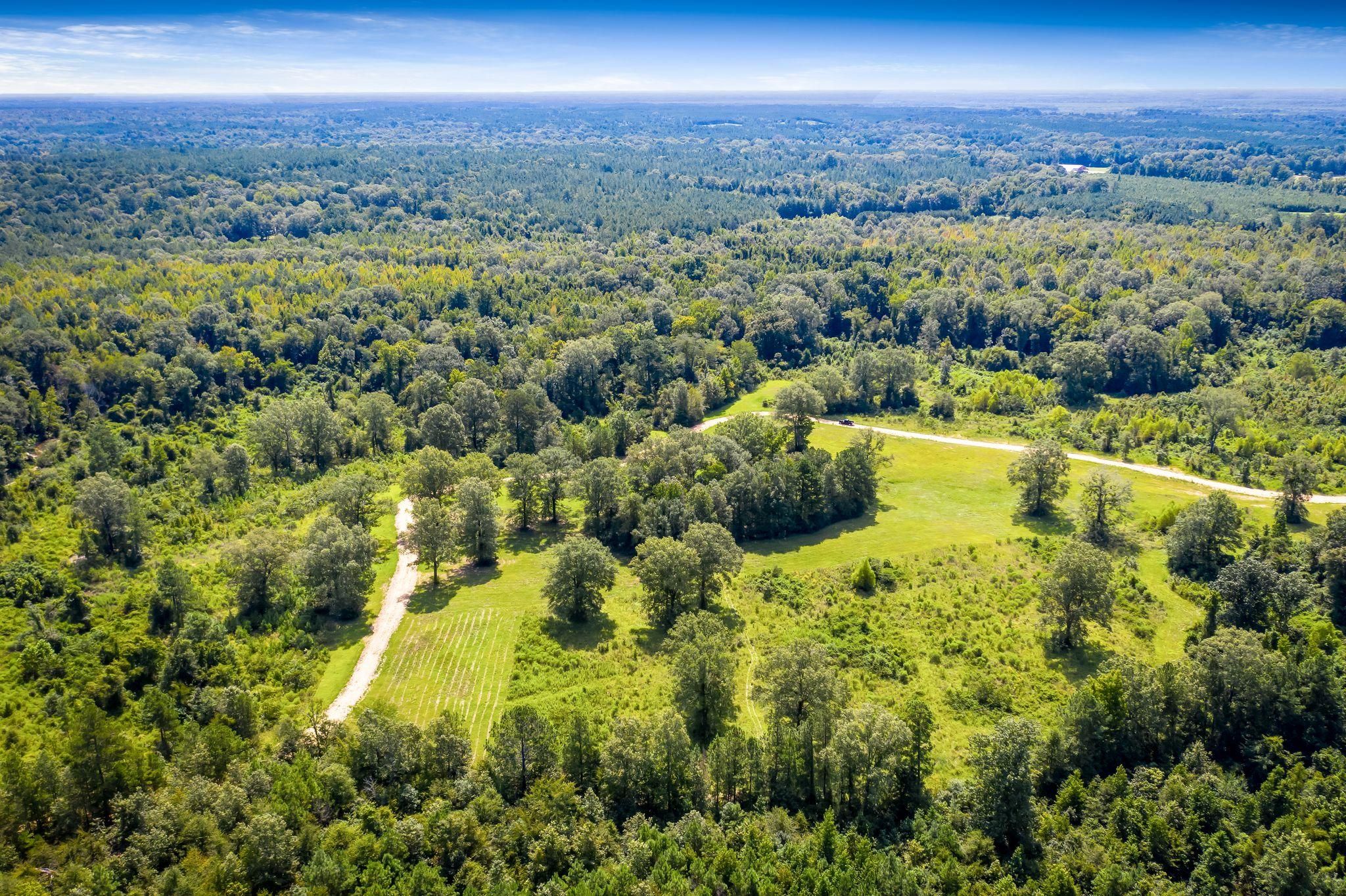 Jonesville, Catahoula Parish, LA Recreational Property for sale