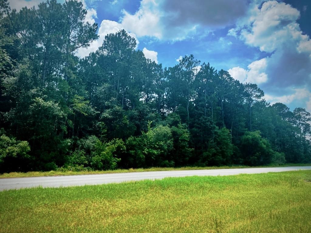 Du Pont, Clinch County, GA Recreational Property, Timberland Property, Undeveloped Land for sale