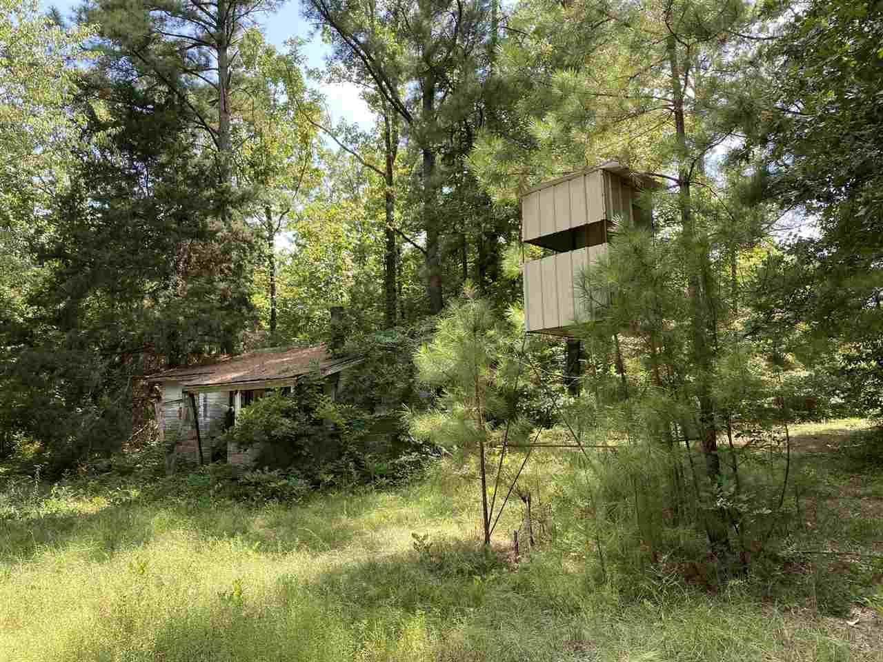 Braxton, Rankin County, MS Recreational Property for sale Property ID