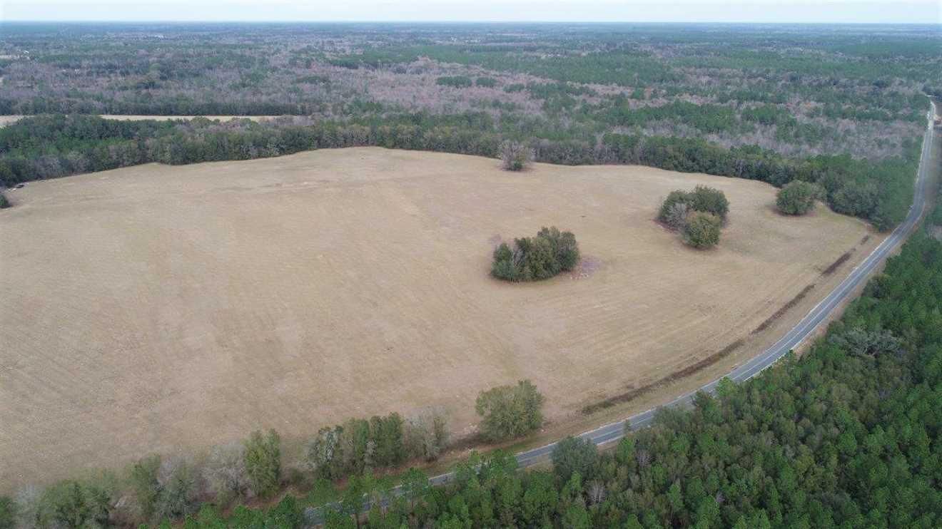 Nahunta, Brantley County, GA Farms and Ranches, Hunting Property for