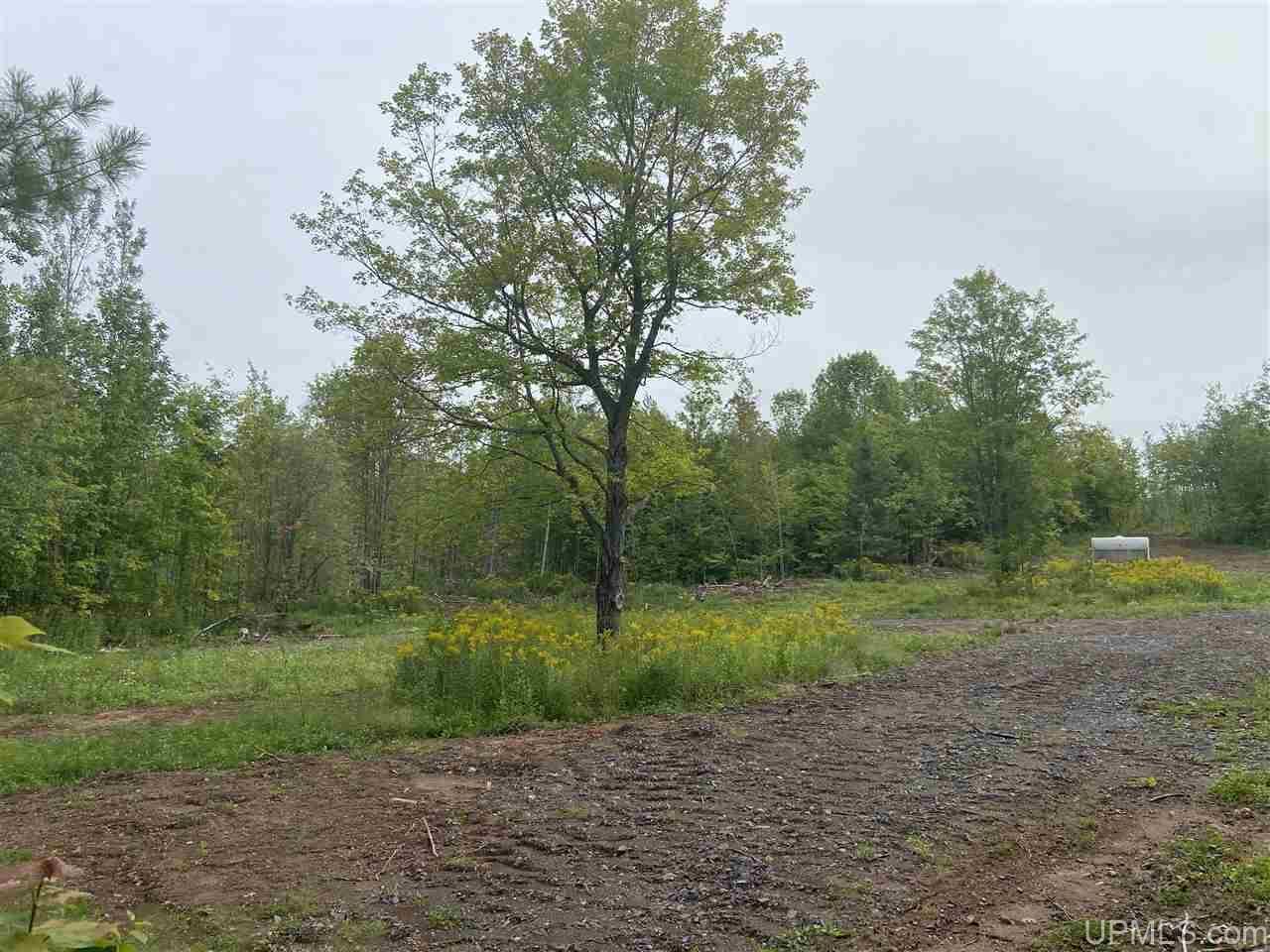Ontonagon, Ontonagon County, MI Undeveloped Land for sale Property ID