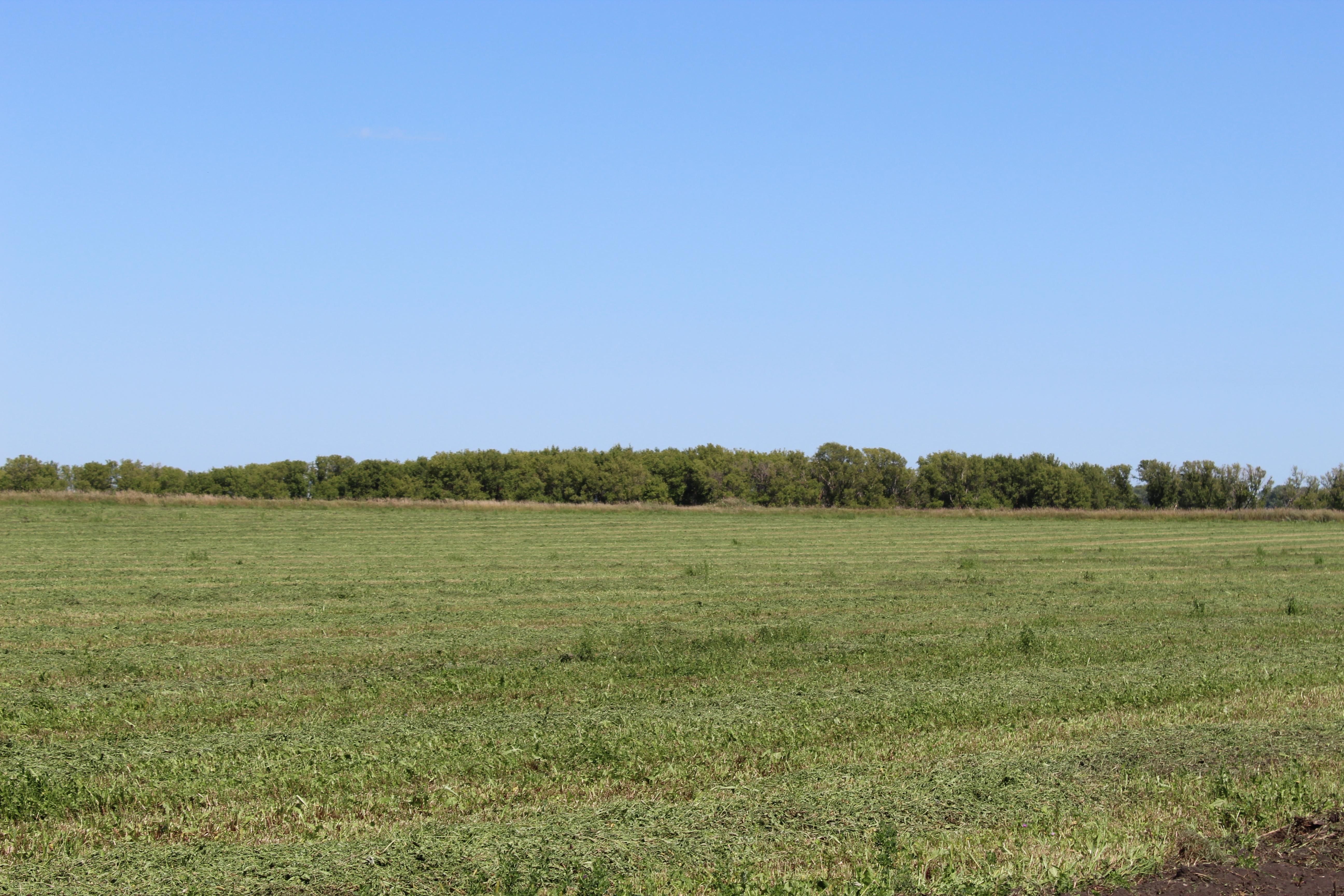 Barnesville, Clay County, MN Farms and Ranches for auction Property ID