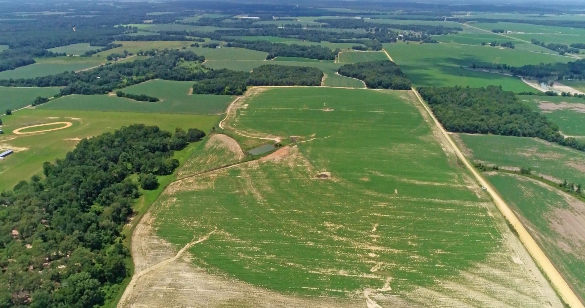 Unadilla, Dooly County, GA Farms and Ranches for sale Property ID