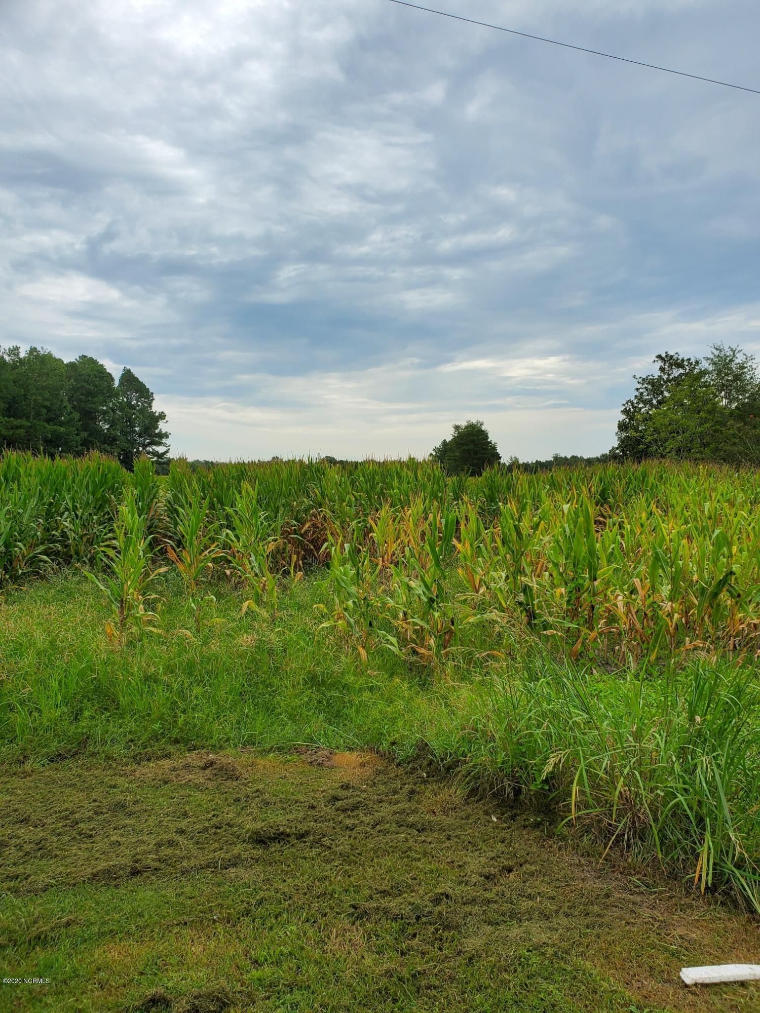 0000 A New Savannah Road, Burgaw, NC 28425 MLS 100233176 LandWatch