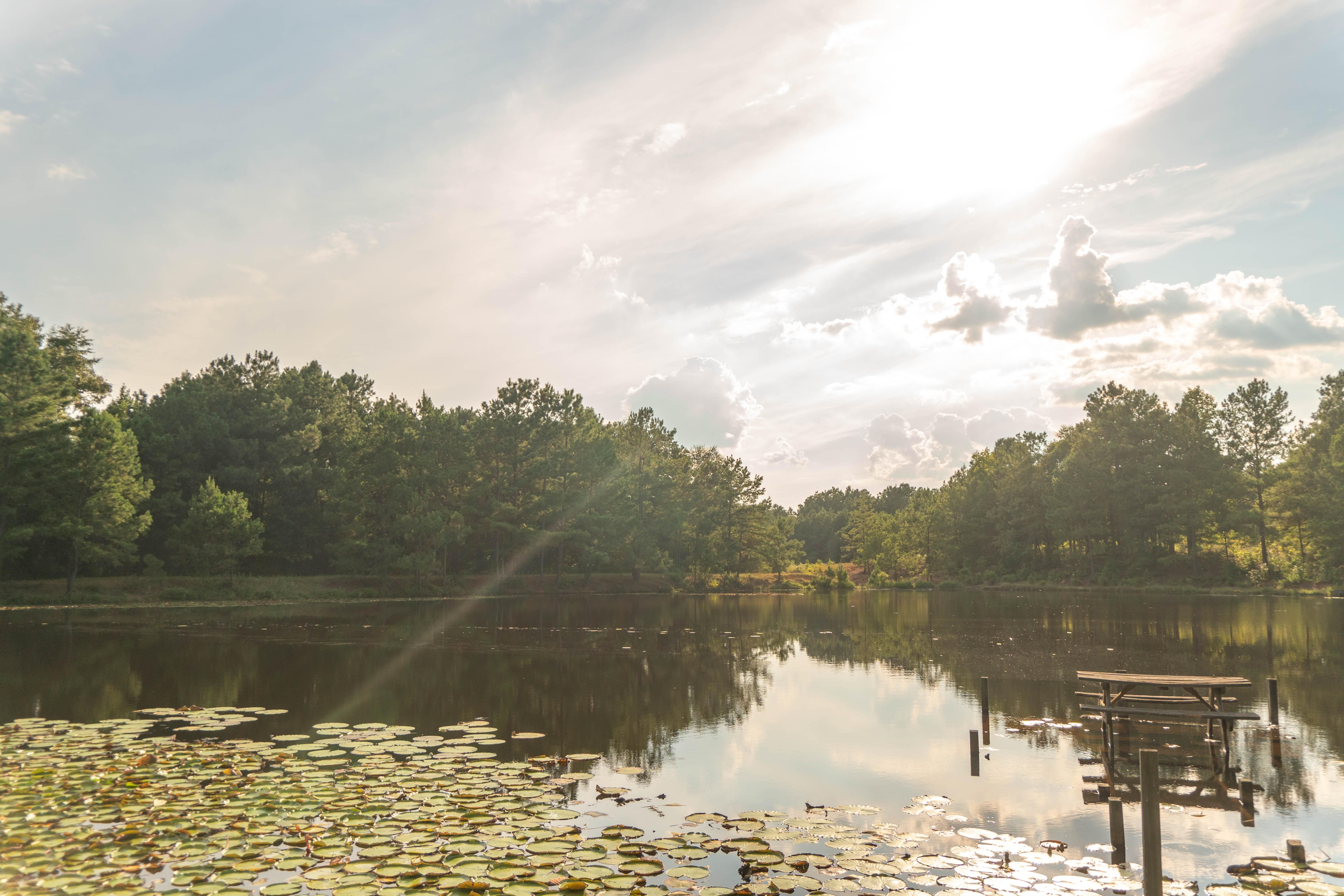 Nacogdoches, Nacogdoches County, TX Farms and Ranches, Riverfront