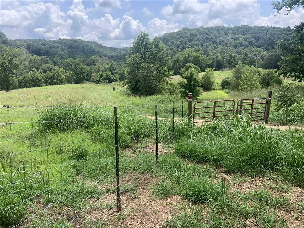 Washburn, McDonald County, MO Farms and Ranches, Recreational Property, Timberland Property