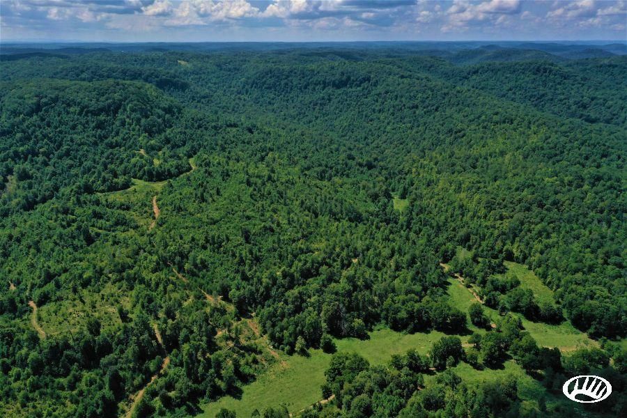 Stearns, McCreary County, KY Recreational Property, Timberland Property