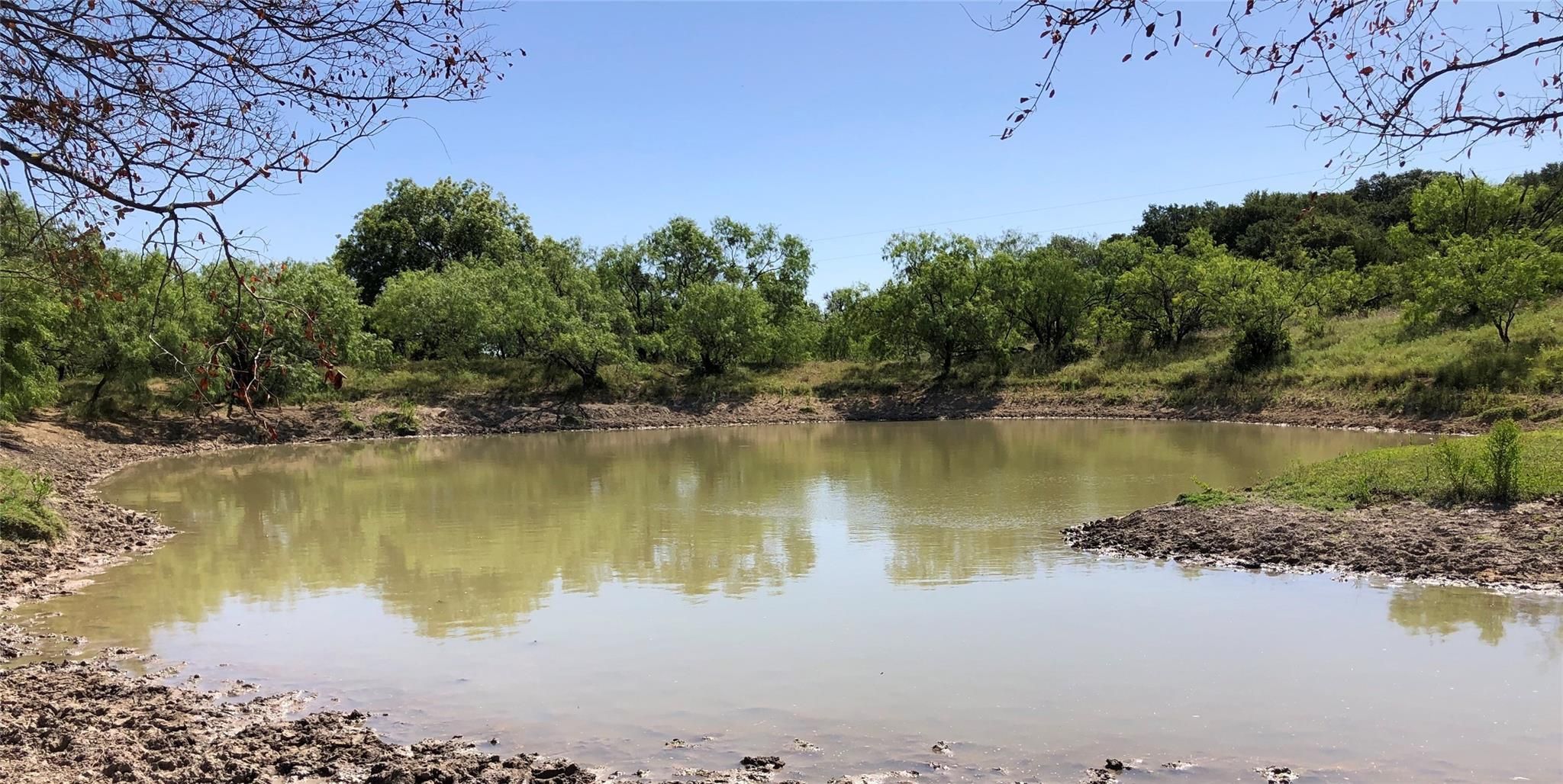 Comanche, Comanche County, TX Farms and Ranches, Hunting Property for