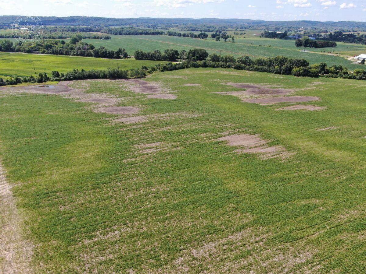 New Lisbon, Juneau County, WI Farms and Ranches, Recreational Property, Hunting Property for