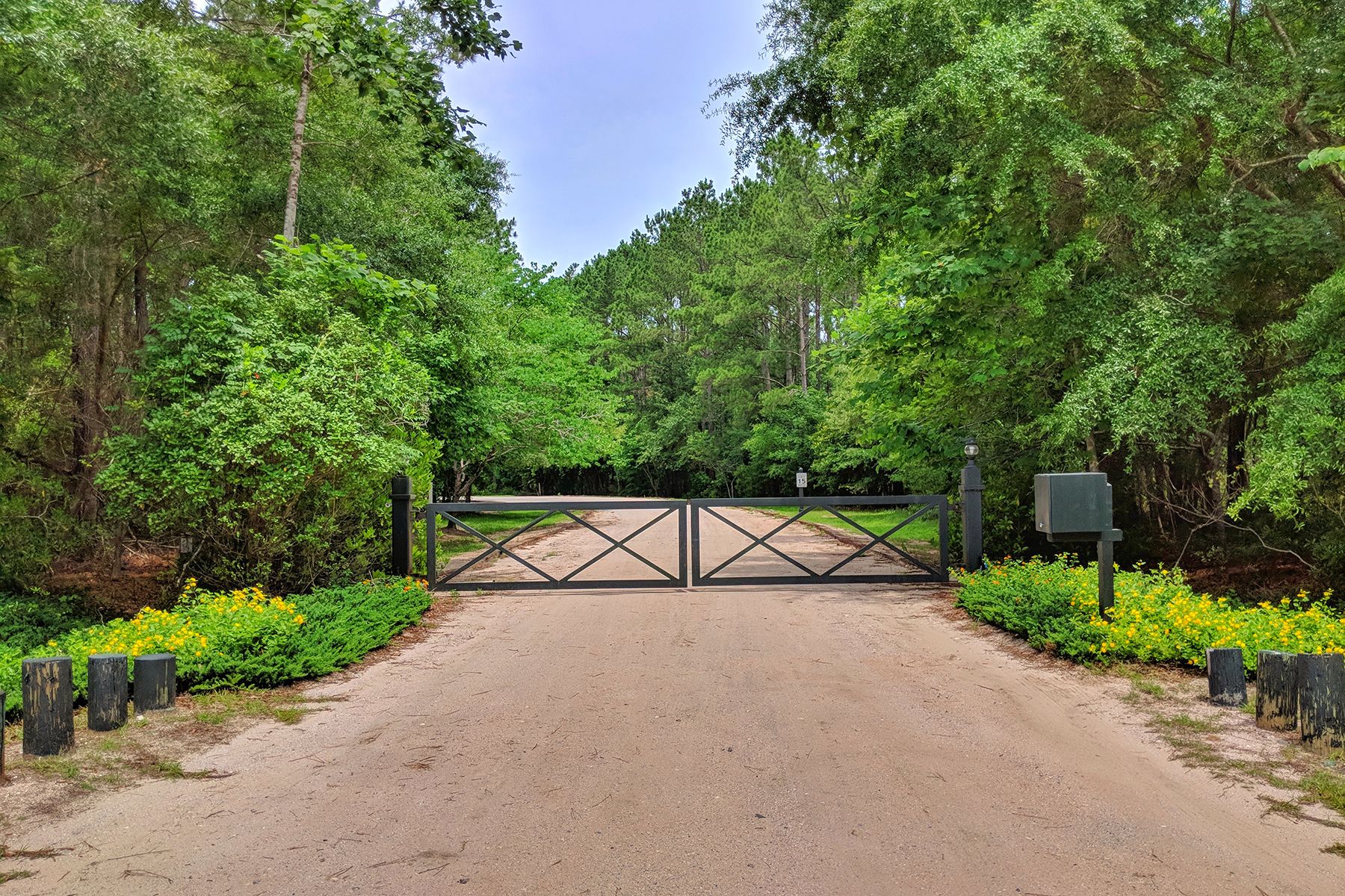 Wadmalaw Island, Charleston County, SC Undeveloped Land for sale