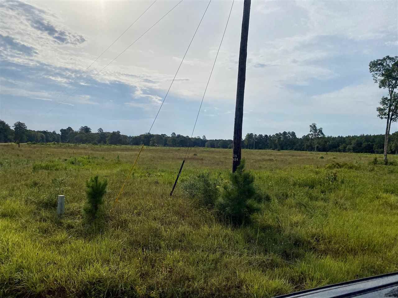 Warren, Tyler County, TX Undeveloped Land for sale Property ID