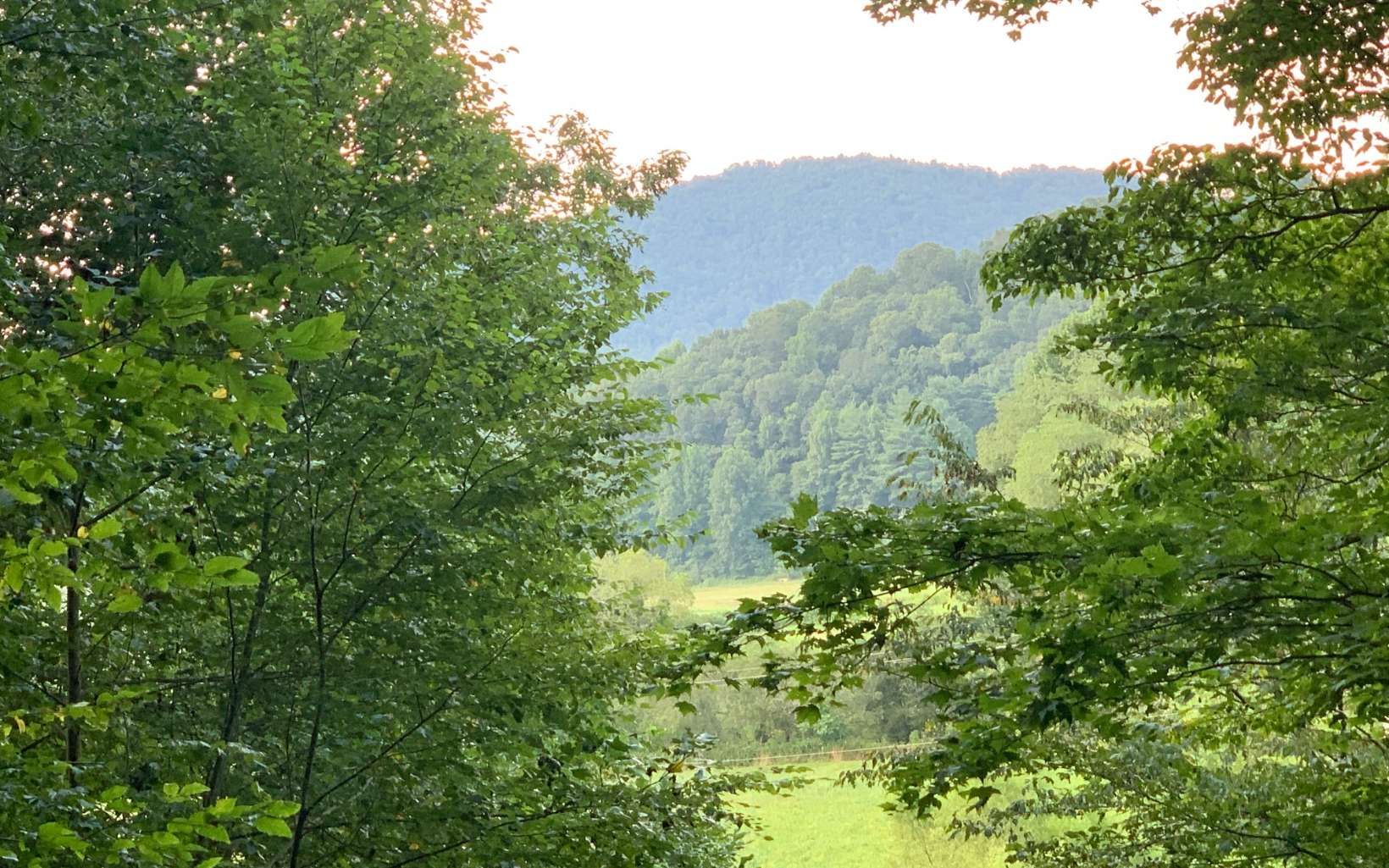 Suches, Union County, GA Undeveloped Land for sale Property ID