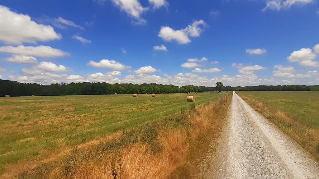 Calhoun Falls, Abbeville County, SC Undeveloped Land for sale Property ID 339014016 LandWatch