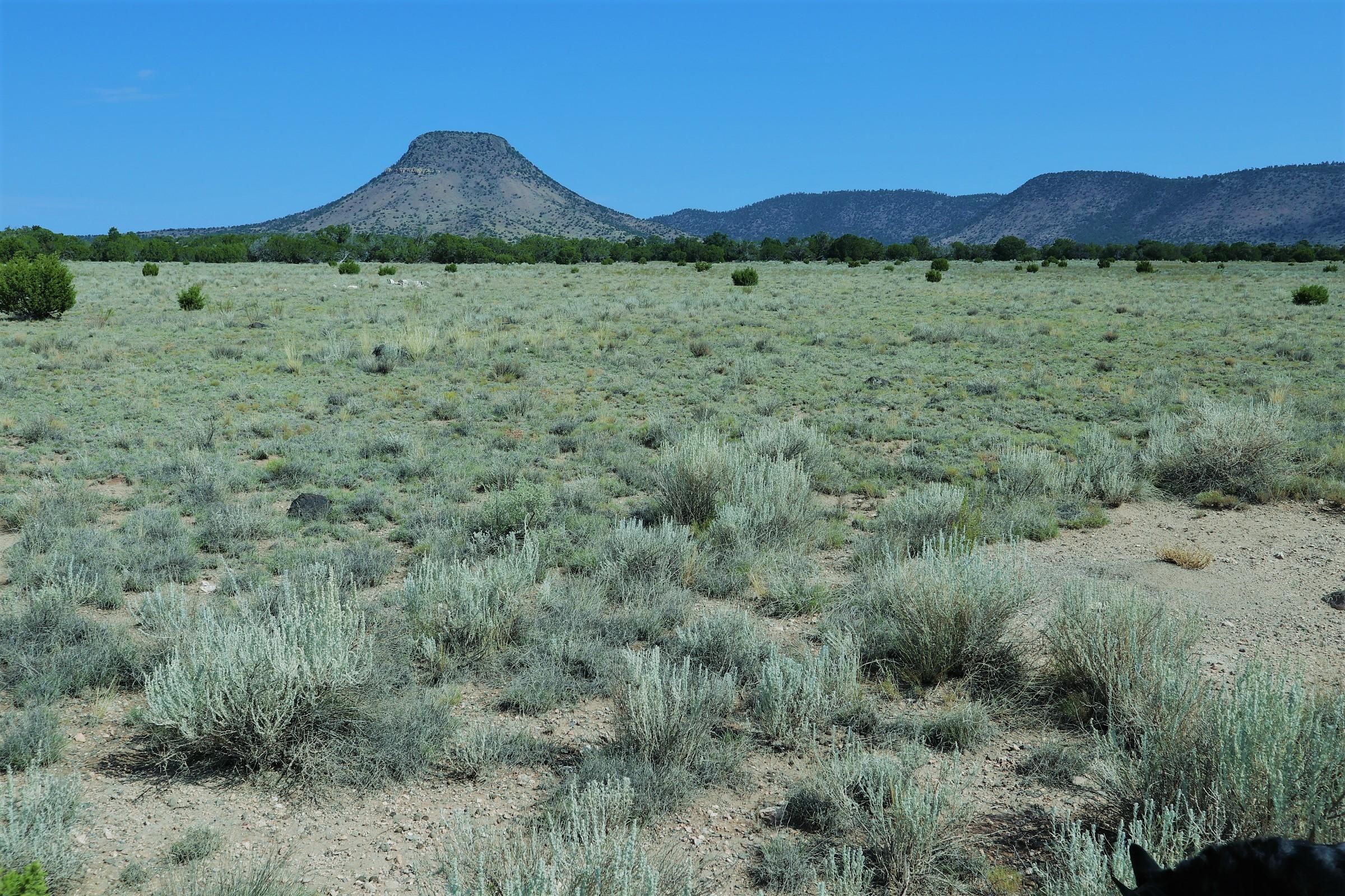 Datil, Catron County, NM Undeveloped Land for sale Property ID 407857064 LandWatch