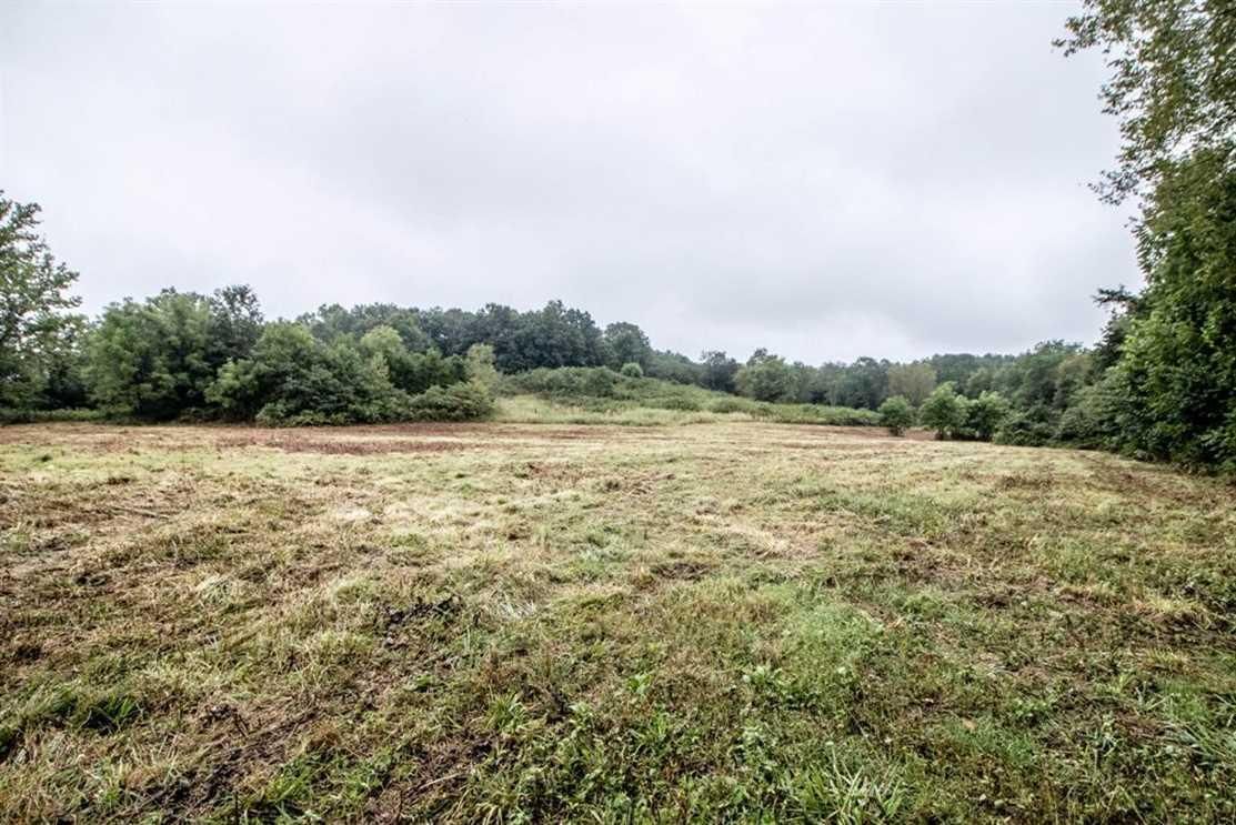 Piedmont, Wayne County, MO Hunting Property for sale Property ID