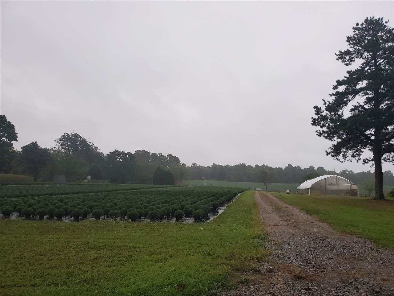 Elkton, Todd County, KY Undeveloped Land for sale Property ID 339045076 LandWatch