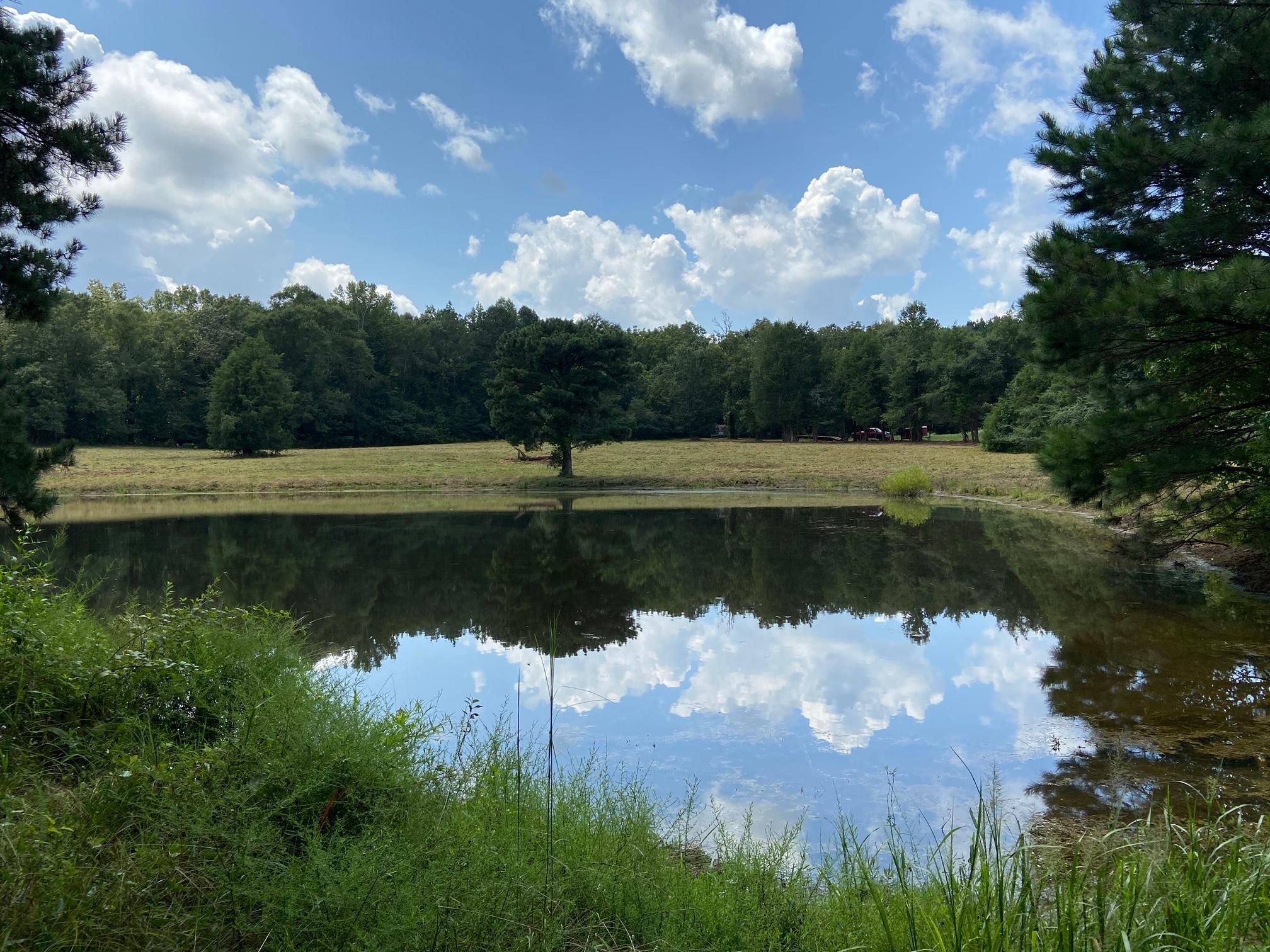 Gay, Meriwether County, GA Hunting Property, Horse Property for sale