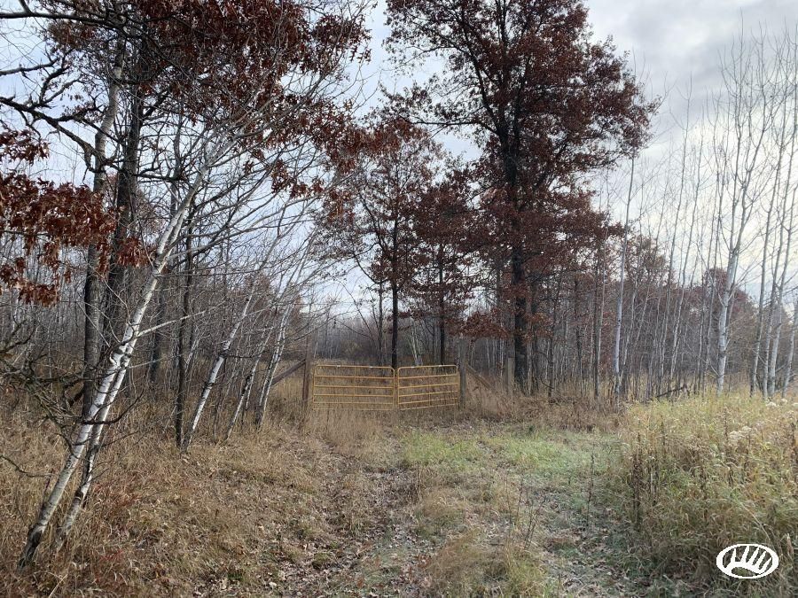 Mora, Kanabec County, MN Recreational Property, Hunting Property for