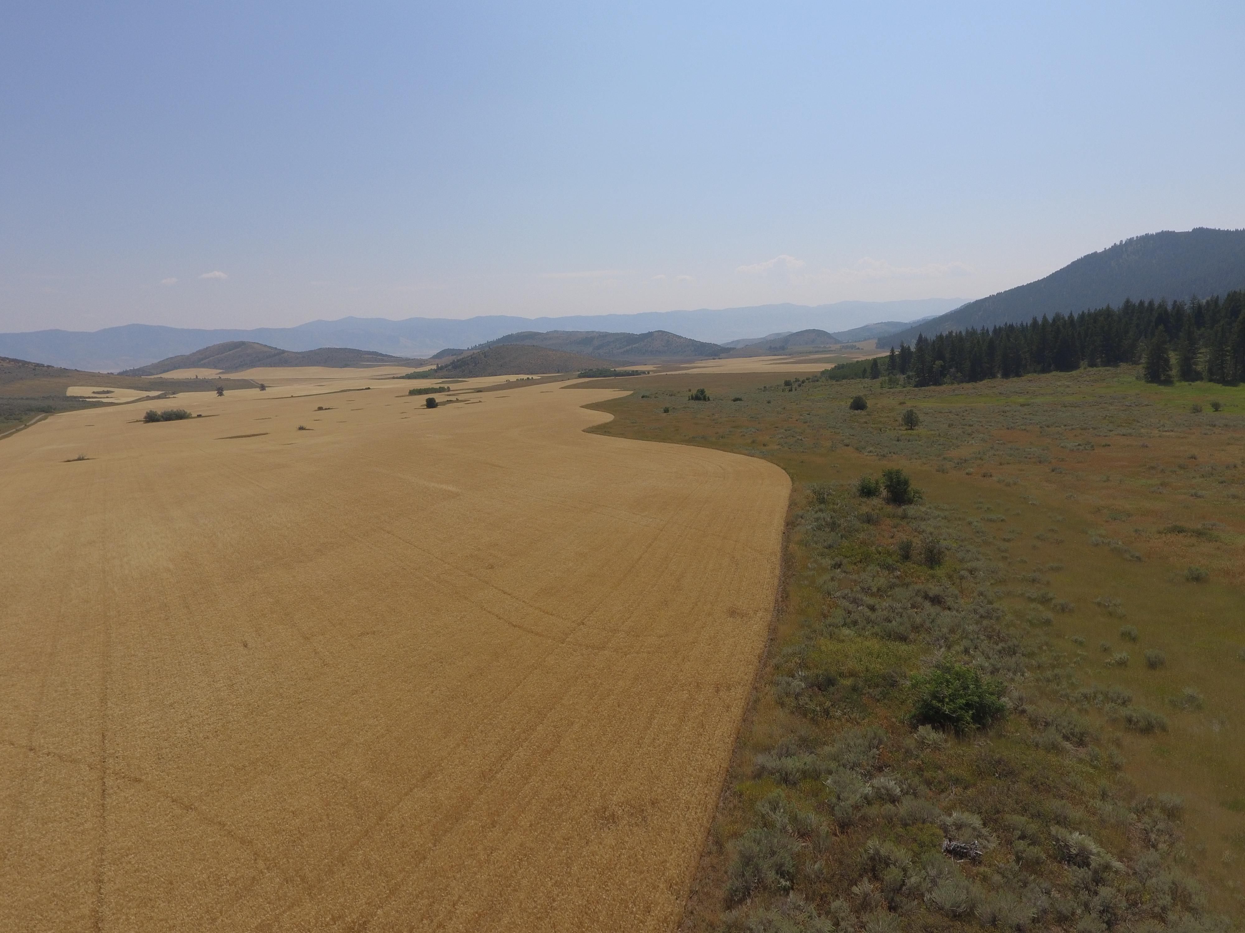 Grace, Caribou County, ID Farms and Ranches, Recreational Property