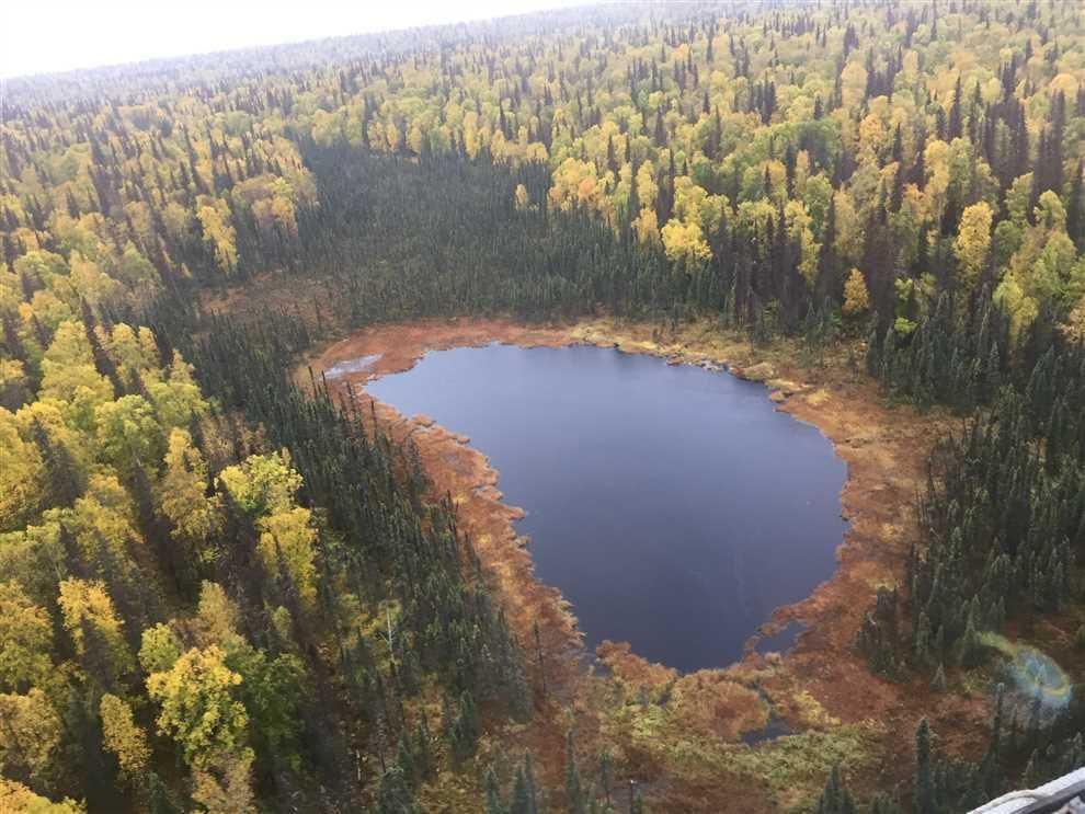 Talkeetna, MatanuskaSusitna Borough, AK Recreational Property, Hunting Property, Lakefront