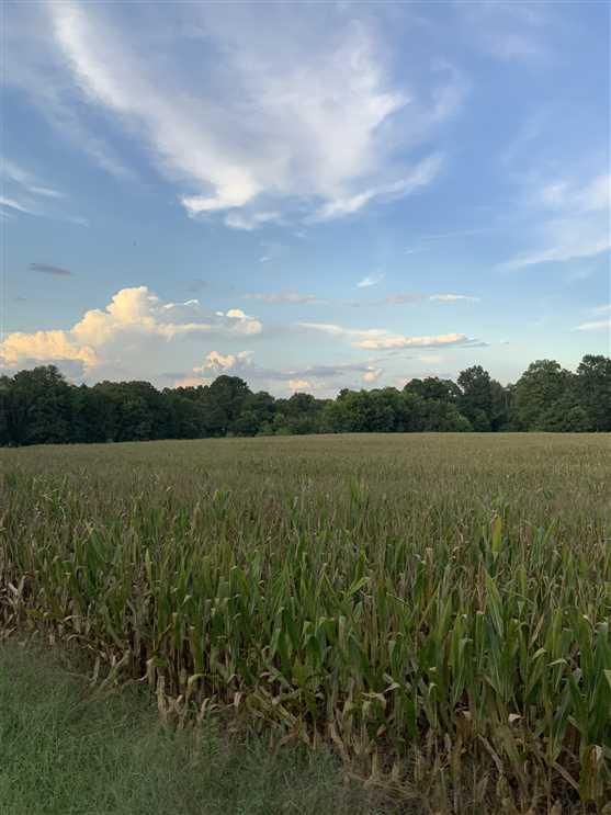 Henry, Henry County, TN Farms and Ranches, Recreational Property