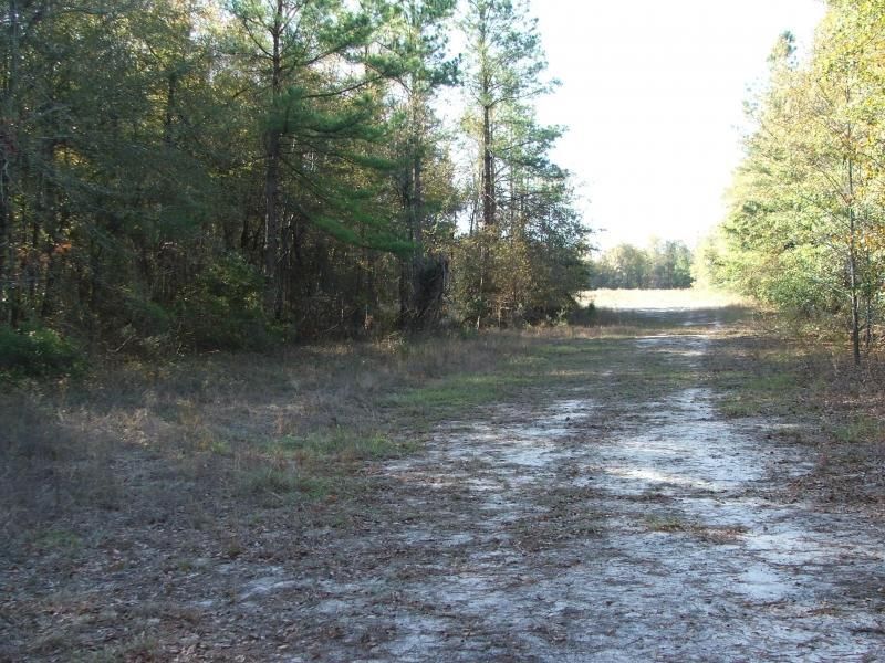 Girard, Burke County, GA Farms and Ranches, Timberland Property