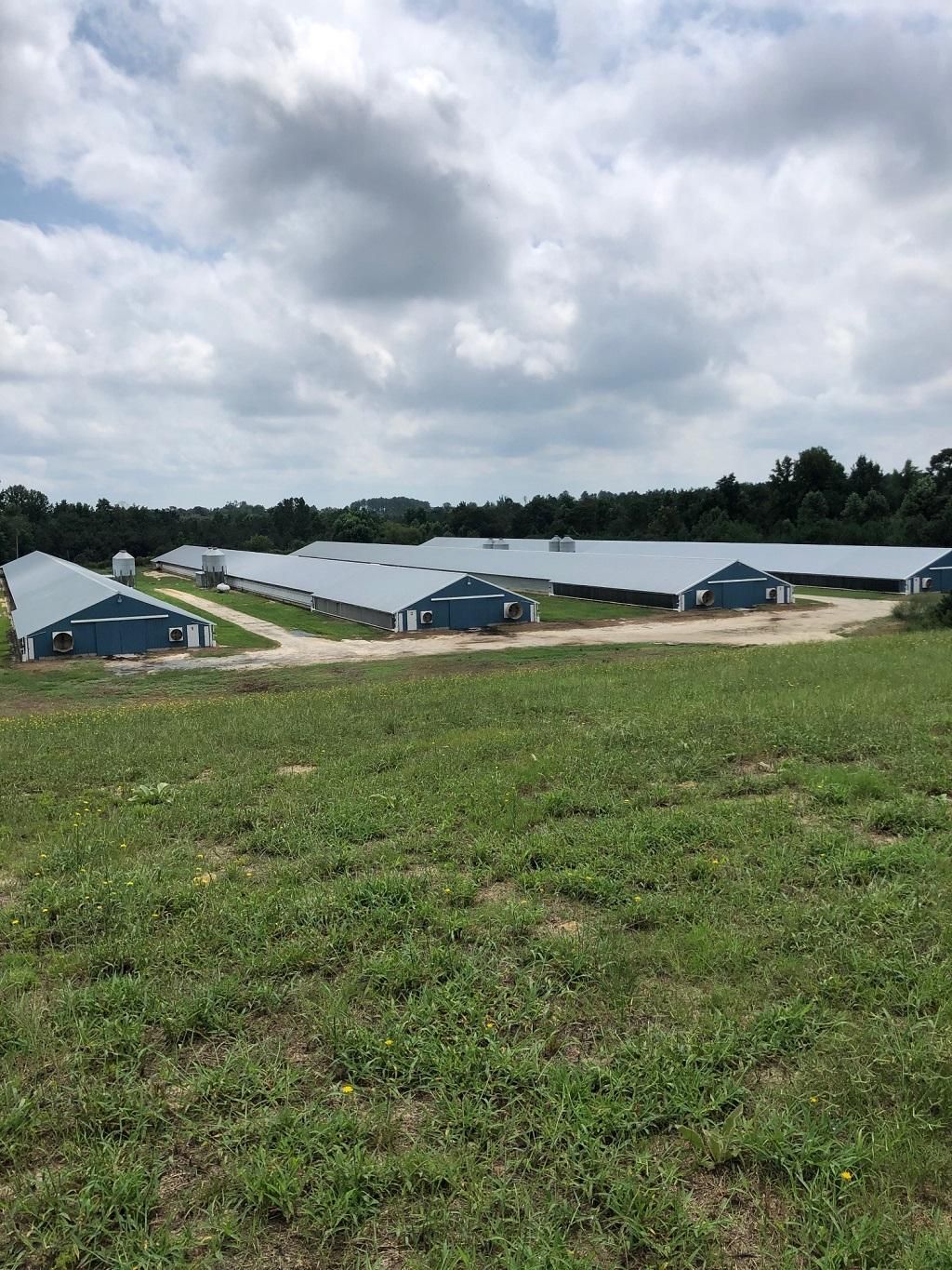 Ellerbe, Richmond County, NC Farms and Ranches, Timberland Property